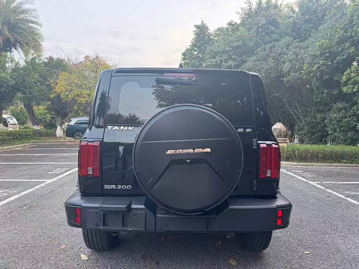 Фото 5 - Tank 300