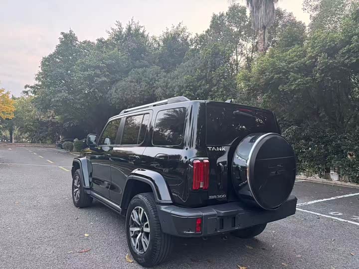 Фото 6 - Tank 300