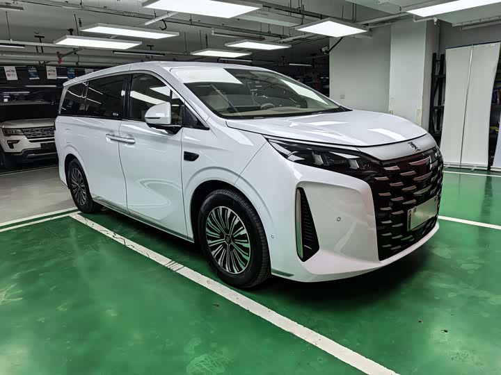 Фото 2 - BYD Xia