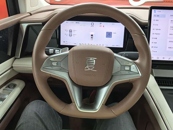 Фото 6 - BYD Xia