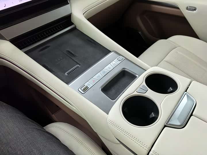 Фото 7 - BYD Xia