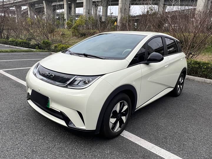 Фото 1 - BYD Dolphin