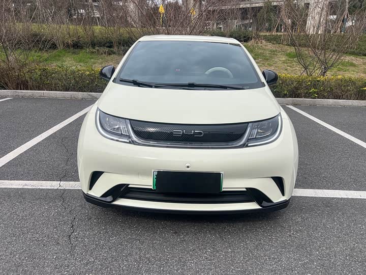 Фото 2 - BYD Dolphin