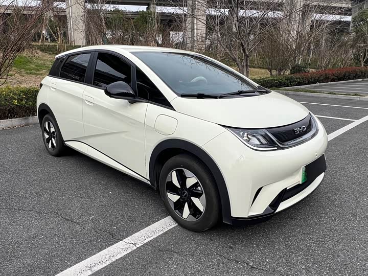 Фото 3 - BYD Dolphin