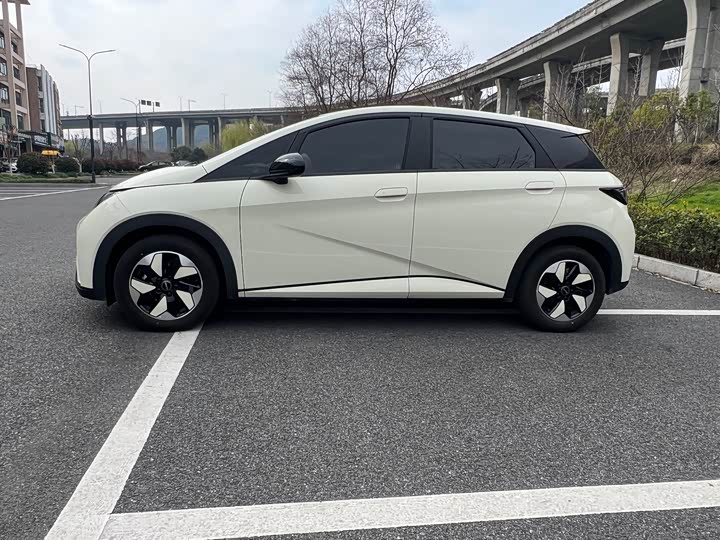 Фото 4 - BYD Dolphin