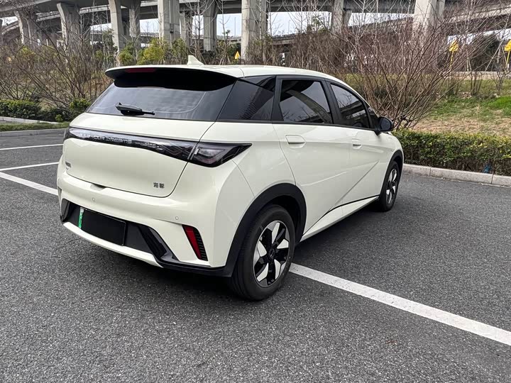 Фото 5 - BYD Dolphin