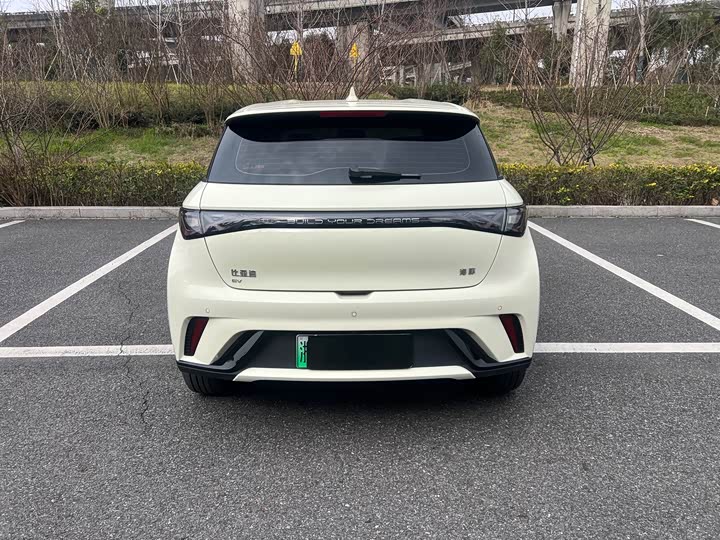 Фото 6 - BYD Dolphin