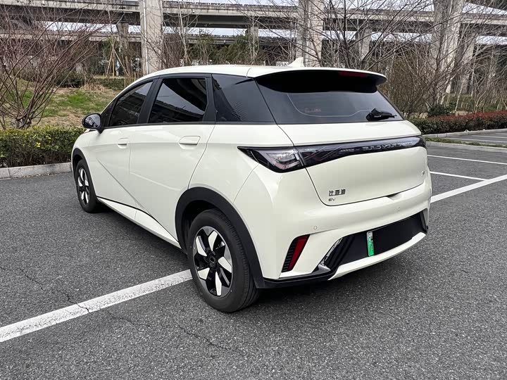 Фото 7 - BYD Dolphin