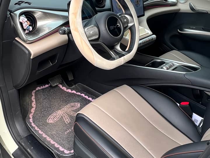 Фото 8 - BYD Dolphin