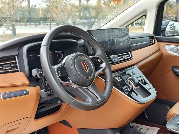 Фото 5 - Hongqi HQ9 Hybrid