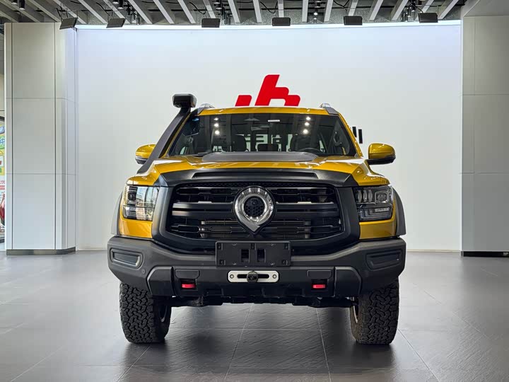 Фото 2 - Great Wall Shanhai Poer