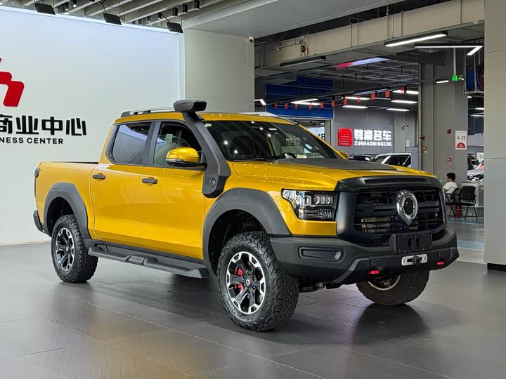 Фото 3 - Great Wall Shanhai Poer