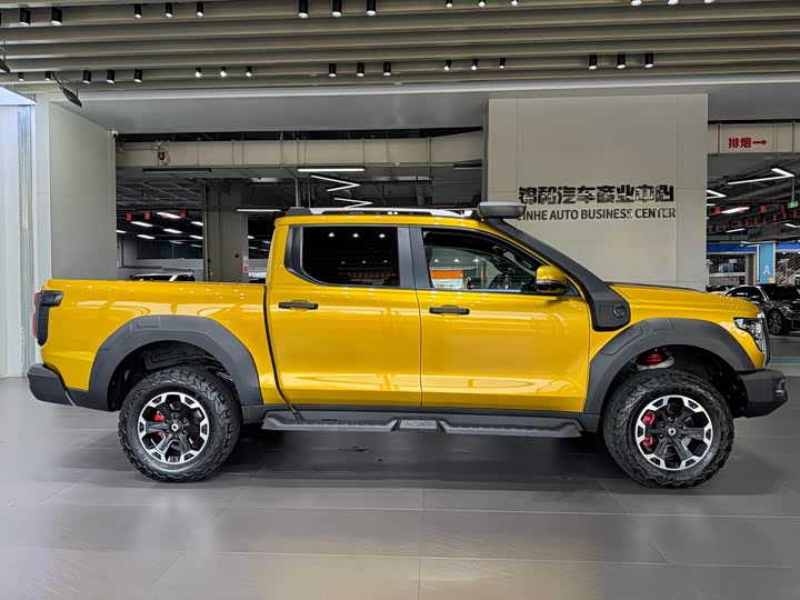 Фото 4 - Great Wall Shanhai Poer