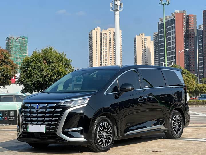 Фото 1 - Denza D9