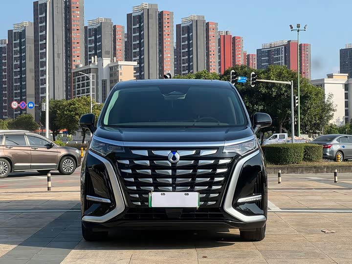 Фото 2 - Denza D9