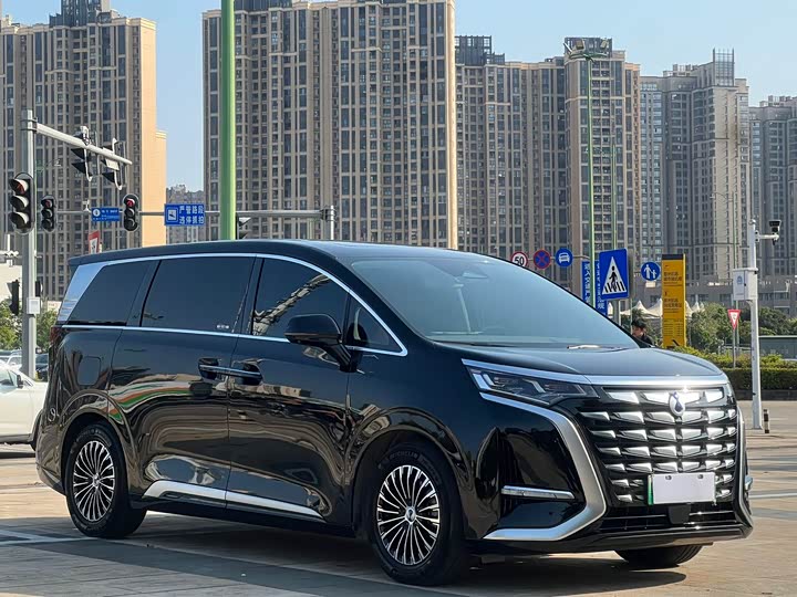 Фото 3 - Denza D9