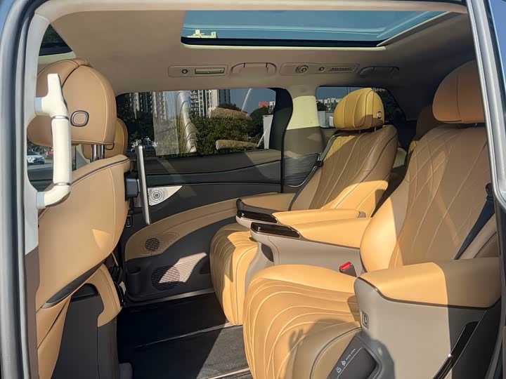 Фото 6 - Denza D9