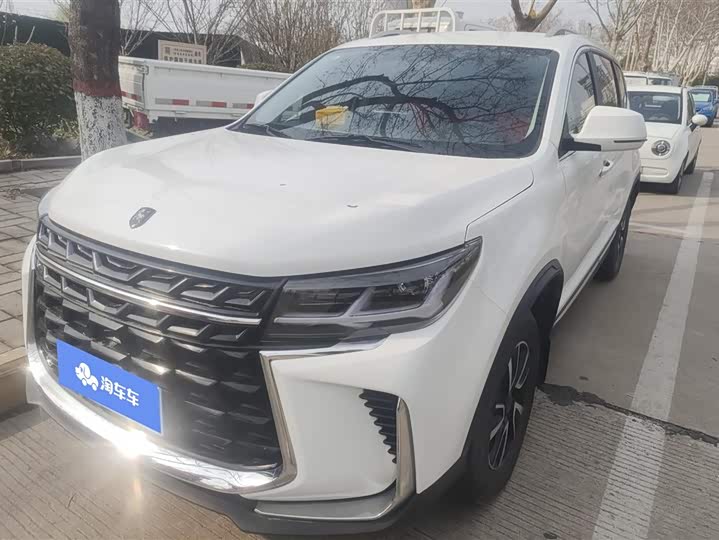 Фото 1 - Dongfeng Forthing T5