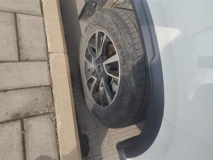 Фото 6 - Dongfeng Forthing T5