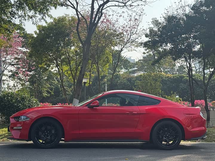 Photo 7 - Ford Mustang