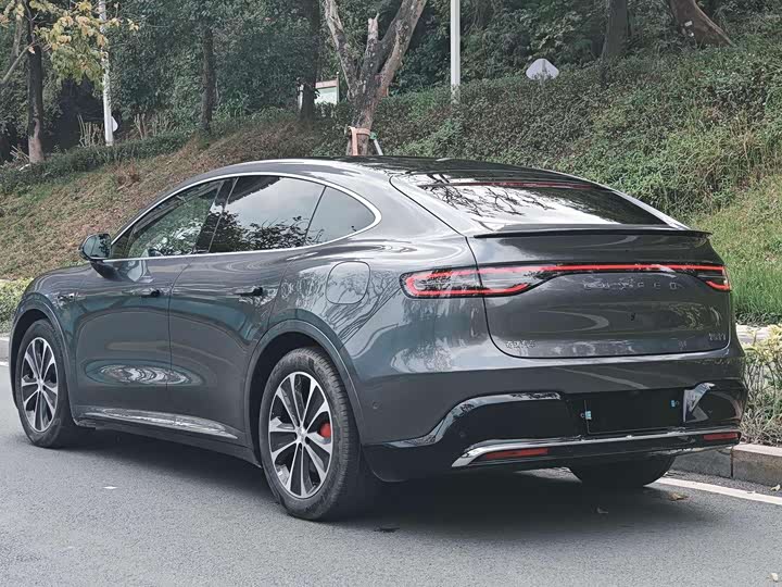 Фото 4 - Luxeed R7