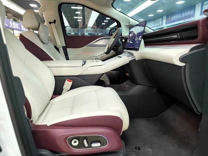 Фото 8 - XPeng X9