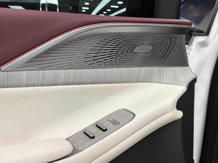 Фото 9 - XPeng X9