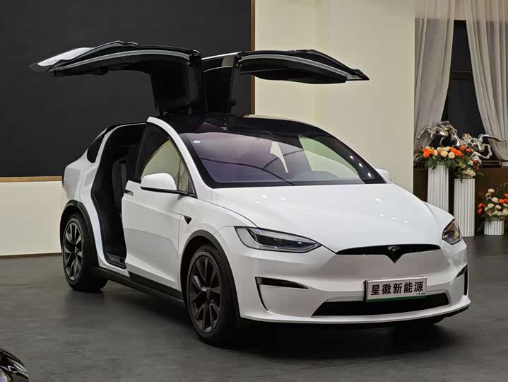 Photo 3 - Tesla Model X