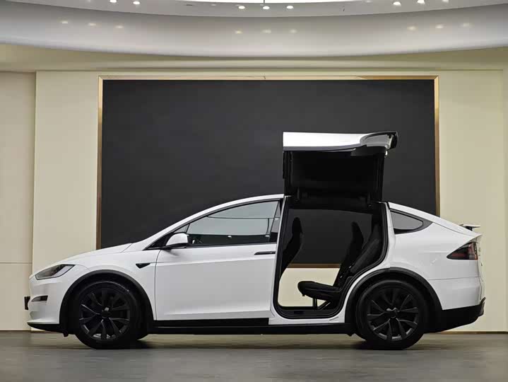 Photo 4 - Tesla Model X