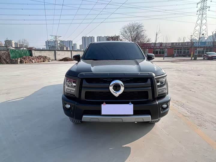 Фото 2 - Great Wall King Kong Poer