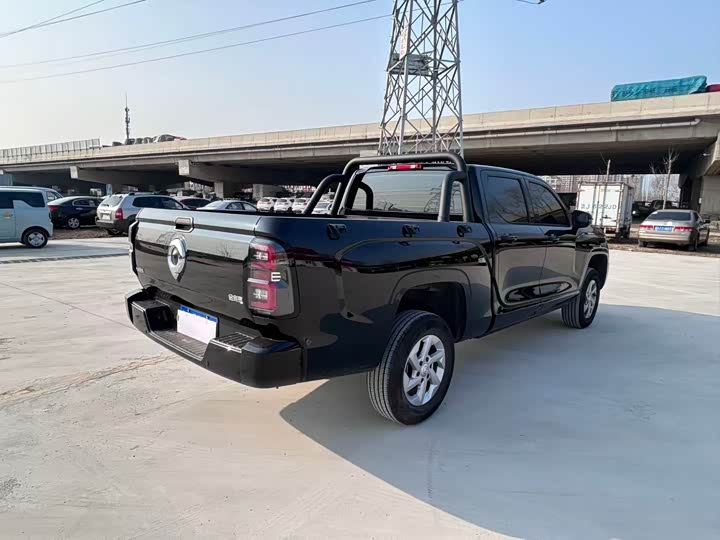 Фото 4 - Great Wall King Kong Poer