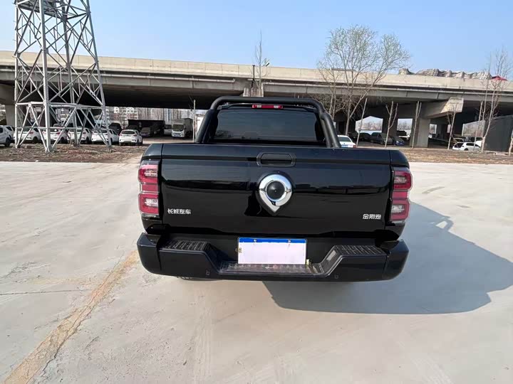 Фото 5 - Great Wall King Kong Poer