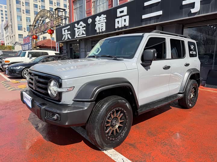 Фото 2 - Tank 300