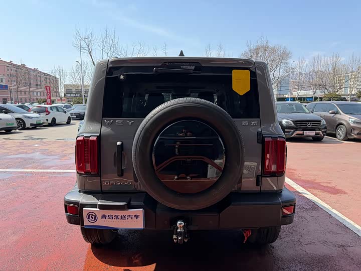 Фото 5 - Tank 300