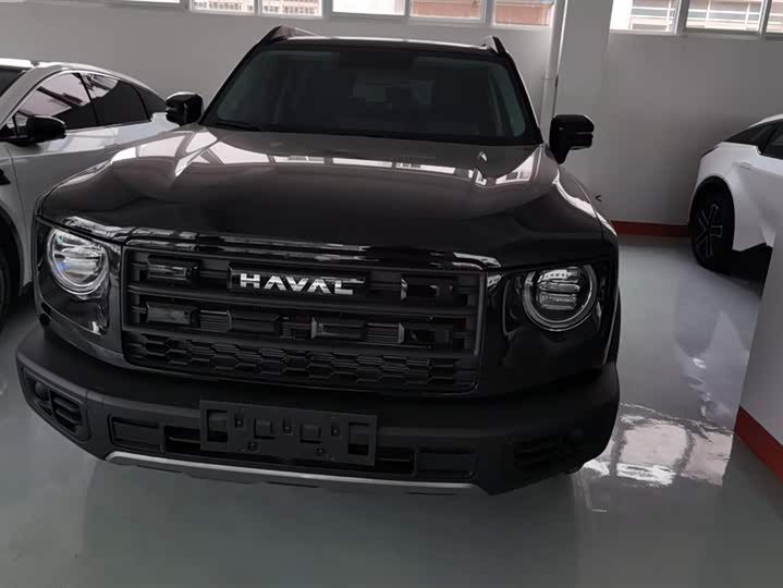 Фото 2 - Haval Dargo