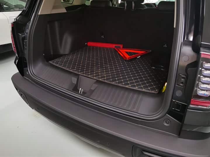 Фото 4 - Haval Dargo