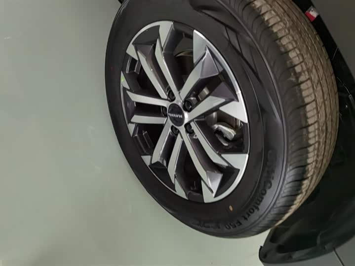 Фото 6 - Haval Dargo