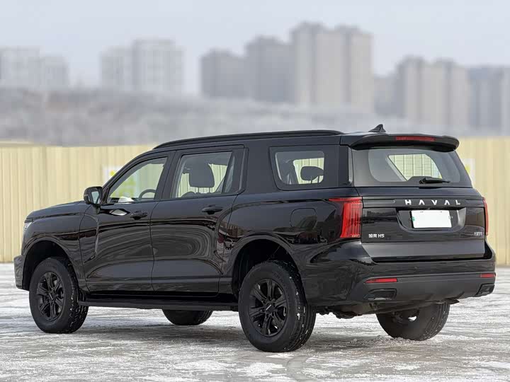 Фото 6 - Haval H5