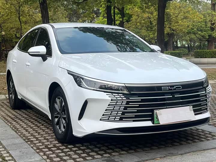 Photo 2 - BYD Destroyer 05