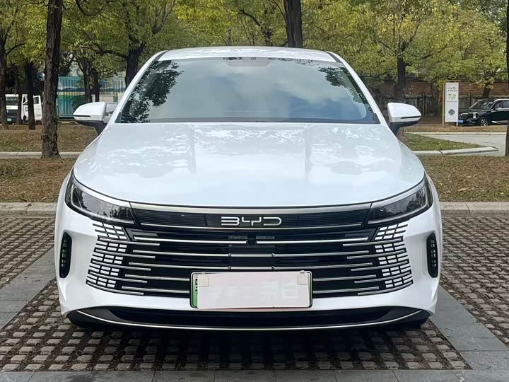 Photo 3 - BYD Destroyer 05