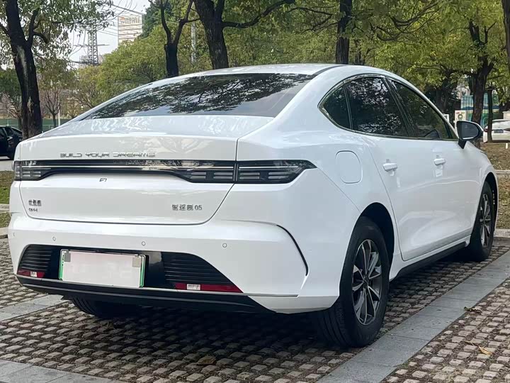 Photo 5 - BYD Destroyer 05