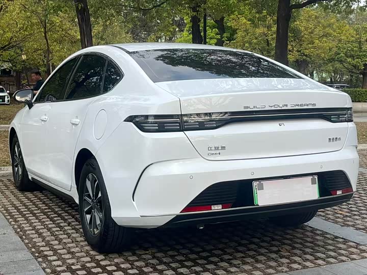 Photo 6 - BYD Destroyer 05