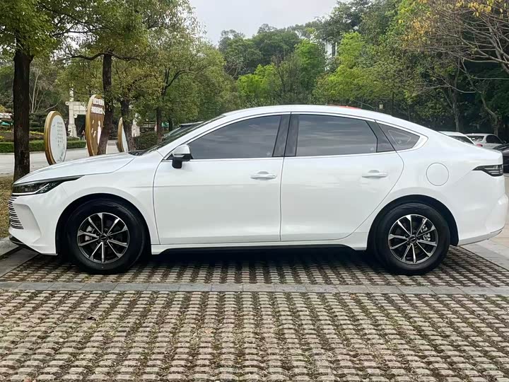 Photo 7 - BYD Destroyer 05