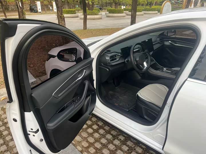 Photo 8 - BYD Destroyer 05