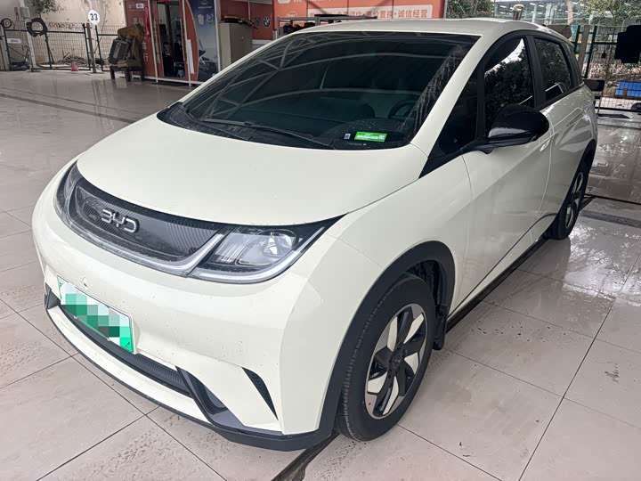 Фото 1 - BYD Dolphin