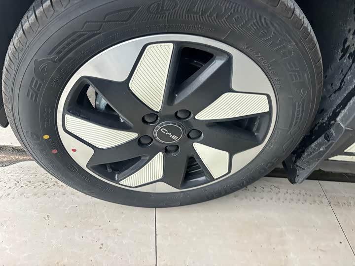 Фото 3 - BYD Dolphin