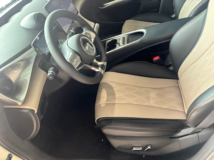 Фото 4 - BYD Dolphin