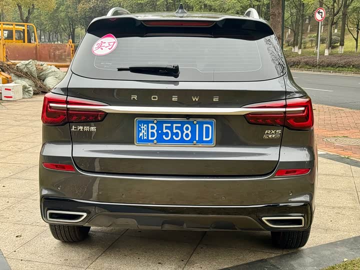 Фото 6 - Roewe RX5