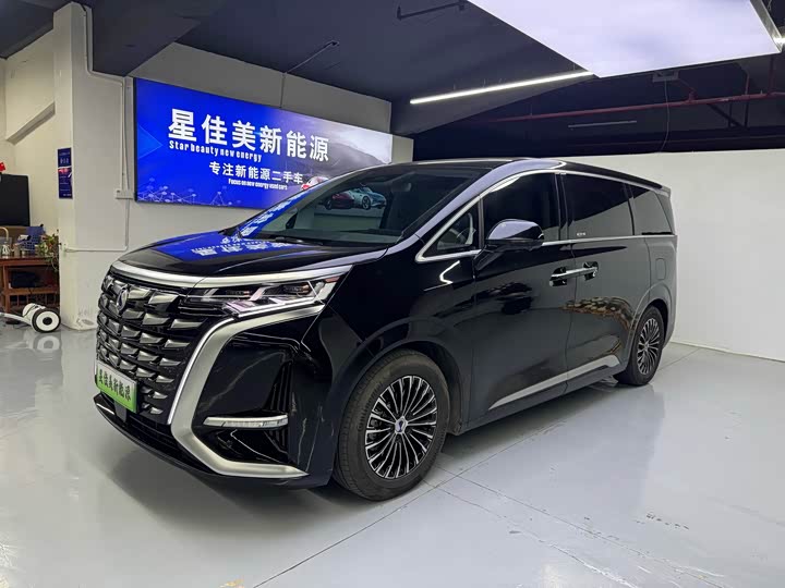 Фото 1 - Denza D9