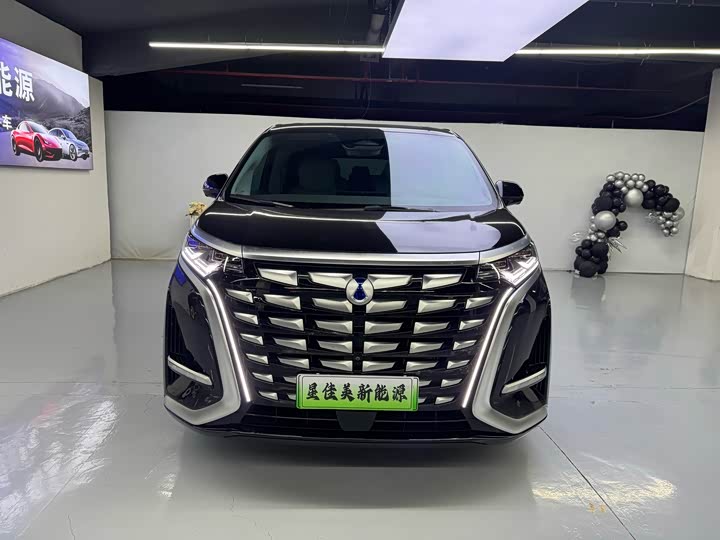 Фото 2 - Denza D9